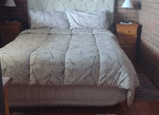 WhatsApp Image 2022-05-16 at 12.42.04